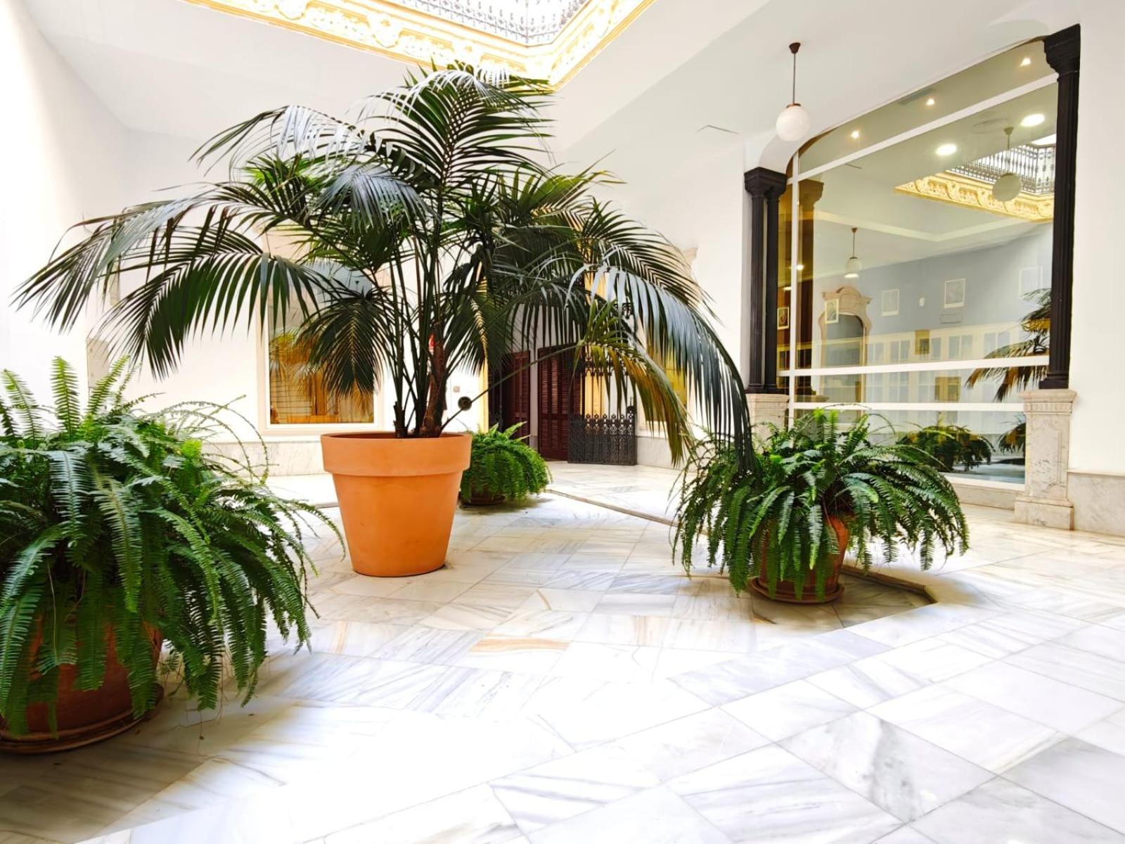 Apartamento Cathedral Luxury Sevilla